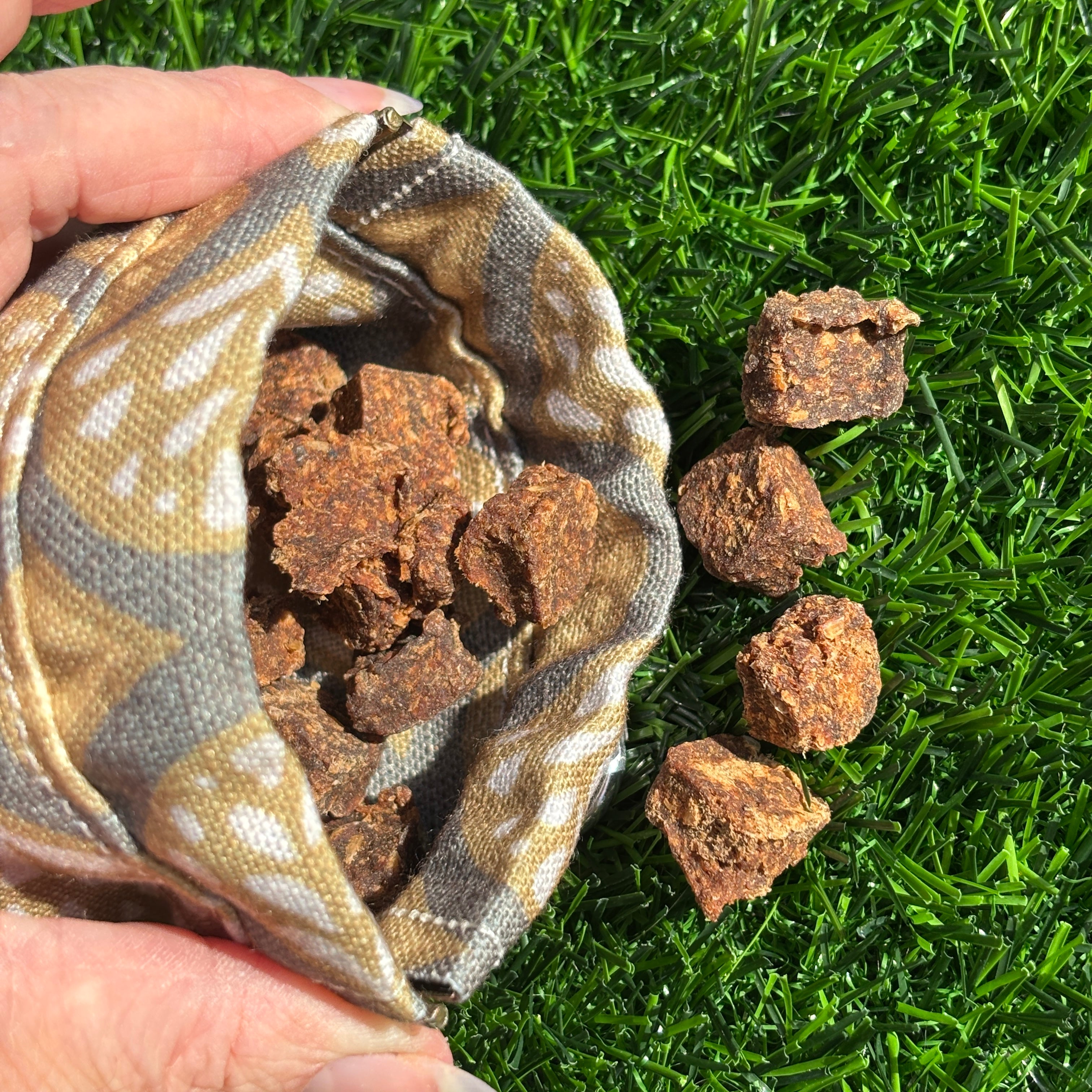 Peacock Treat Bag