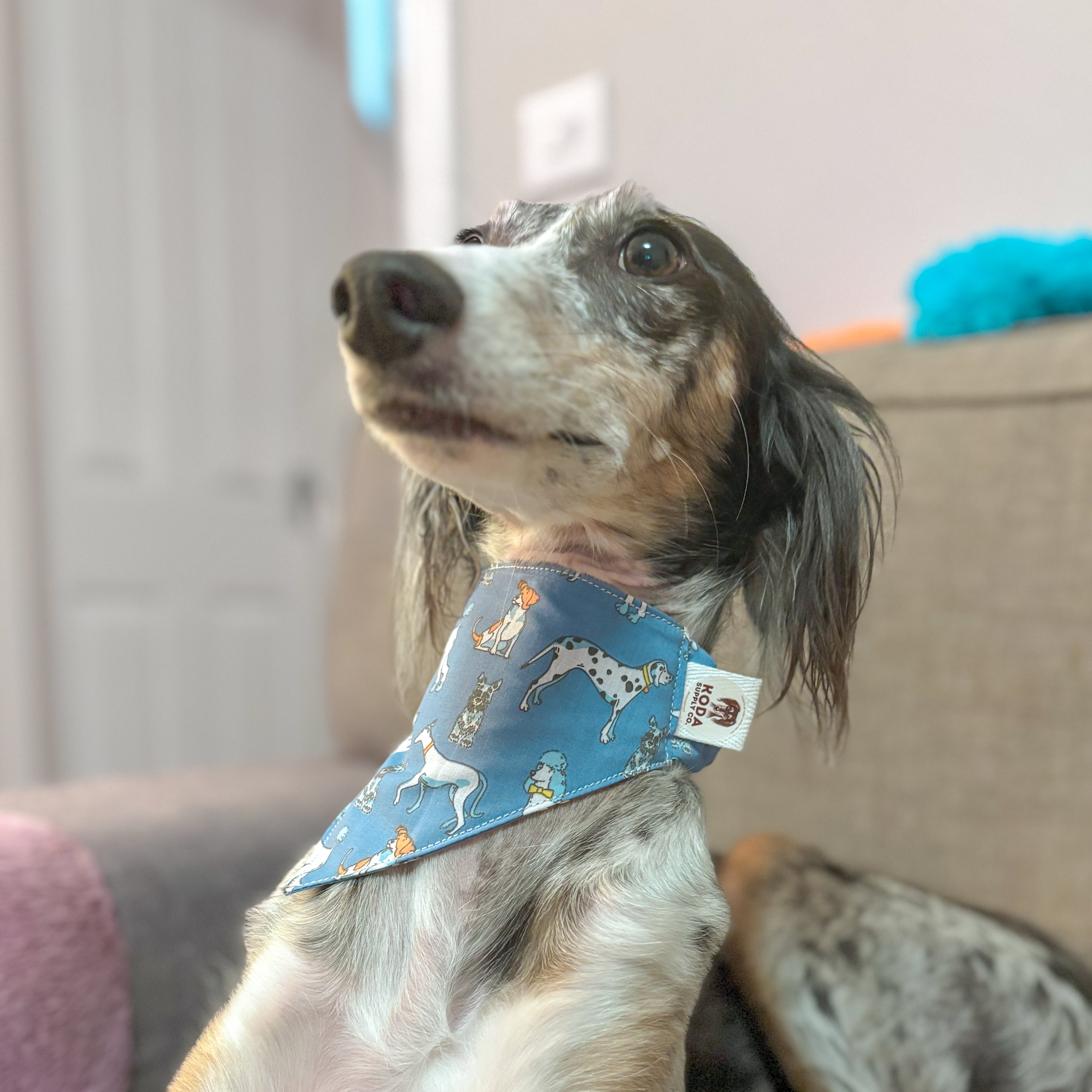 Custom Scrunchie Bandana