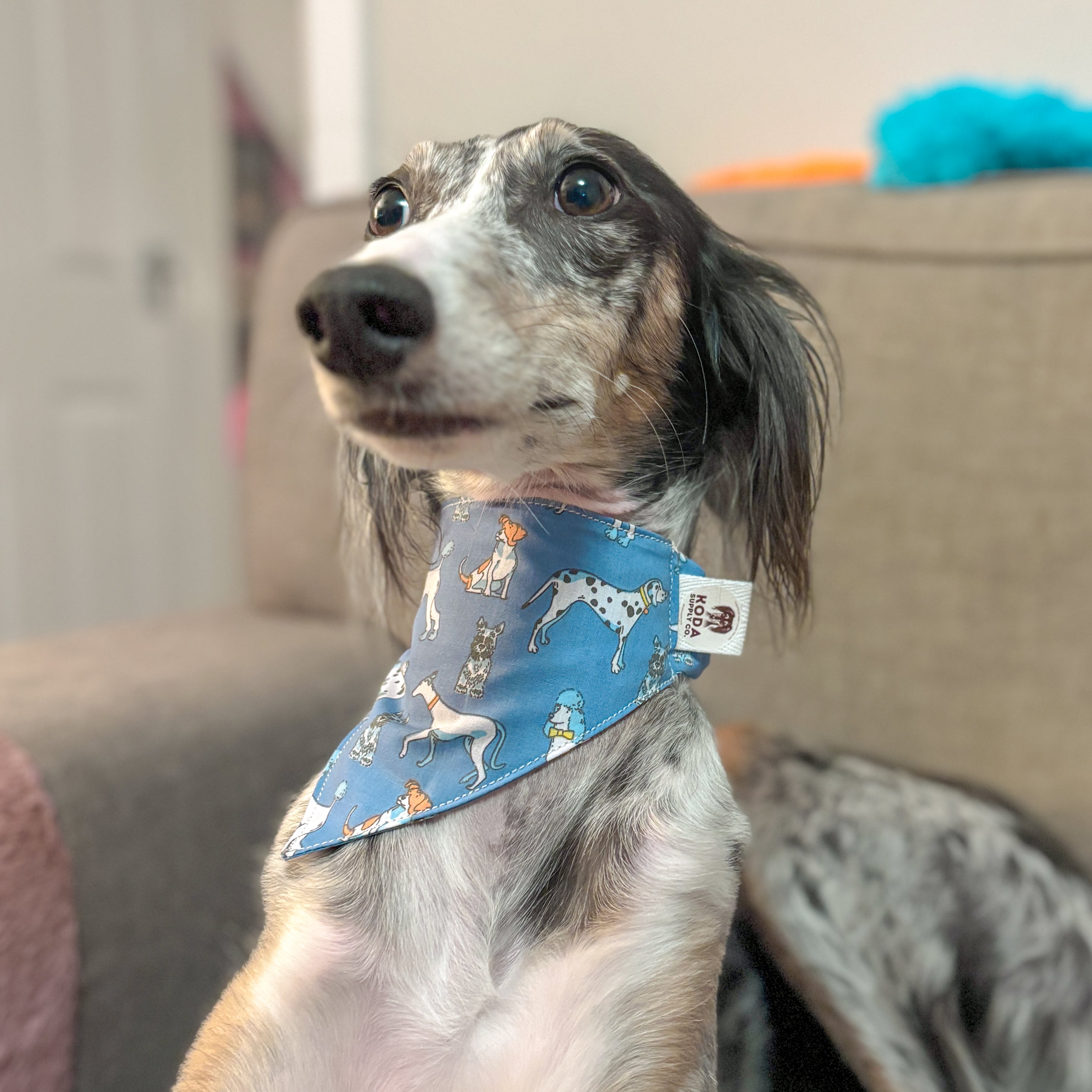 Custom Scrunchie Bandana
