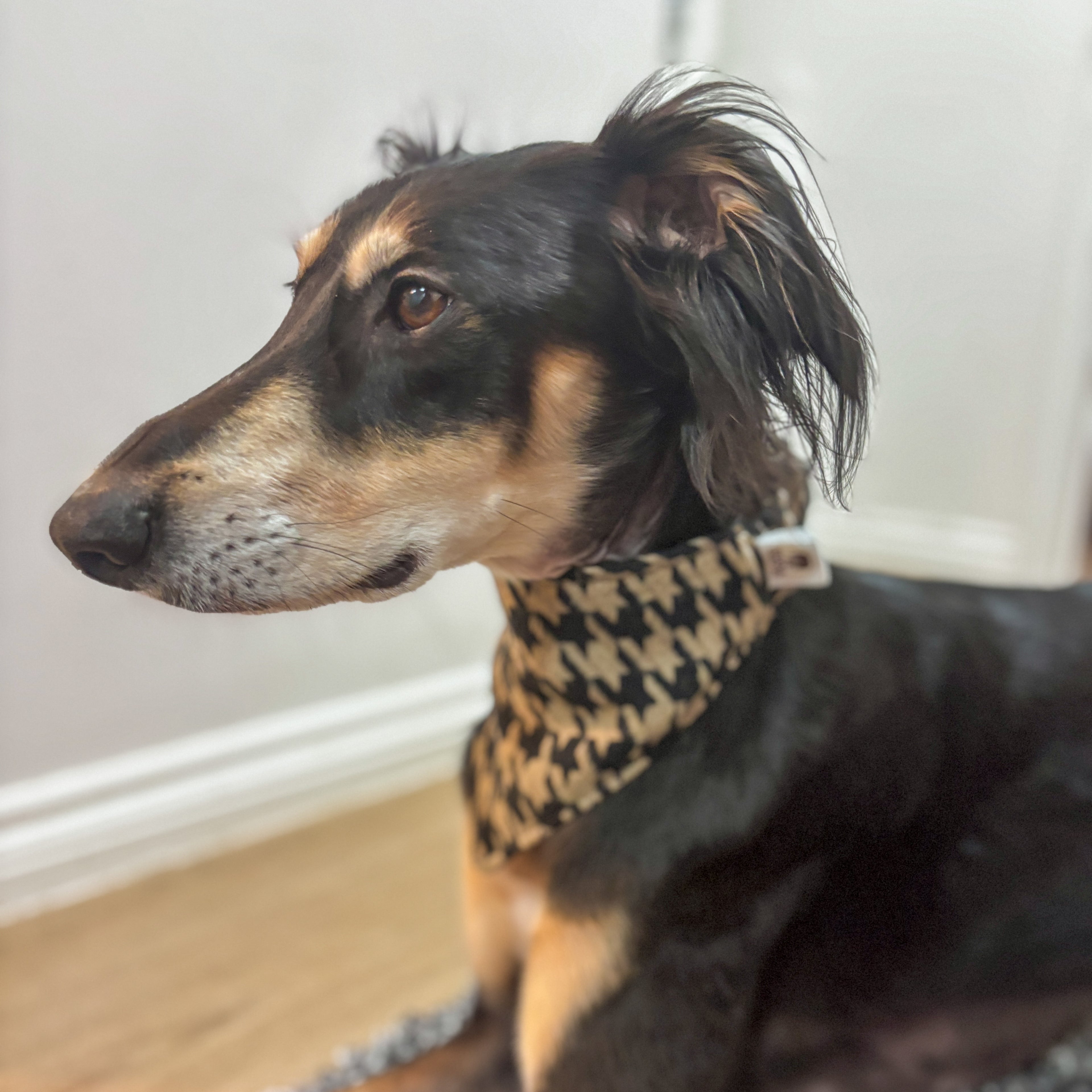 Special Scrunchie Bandana