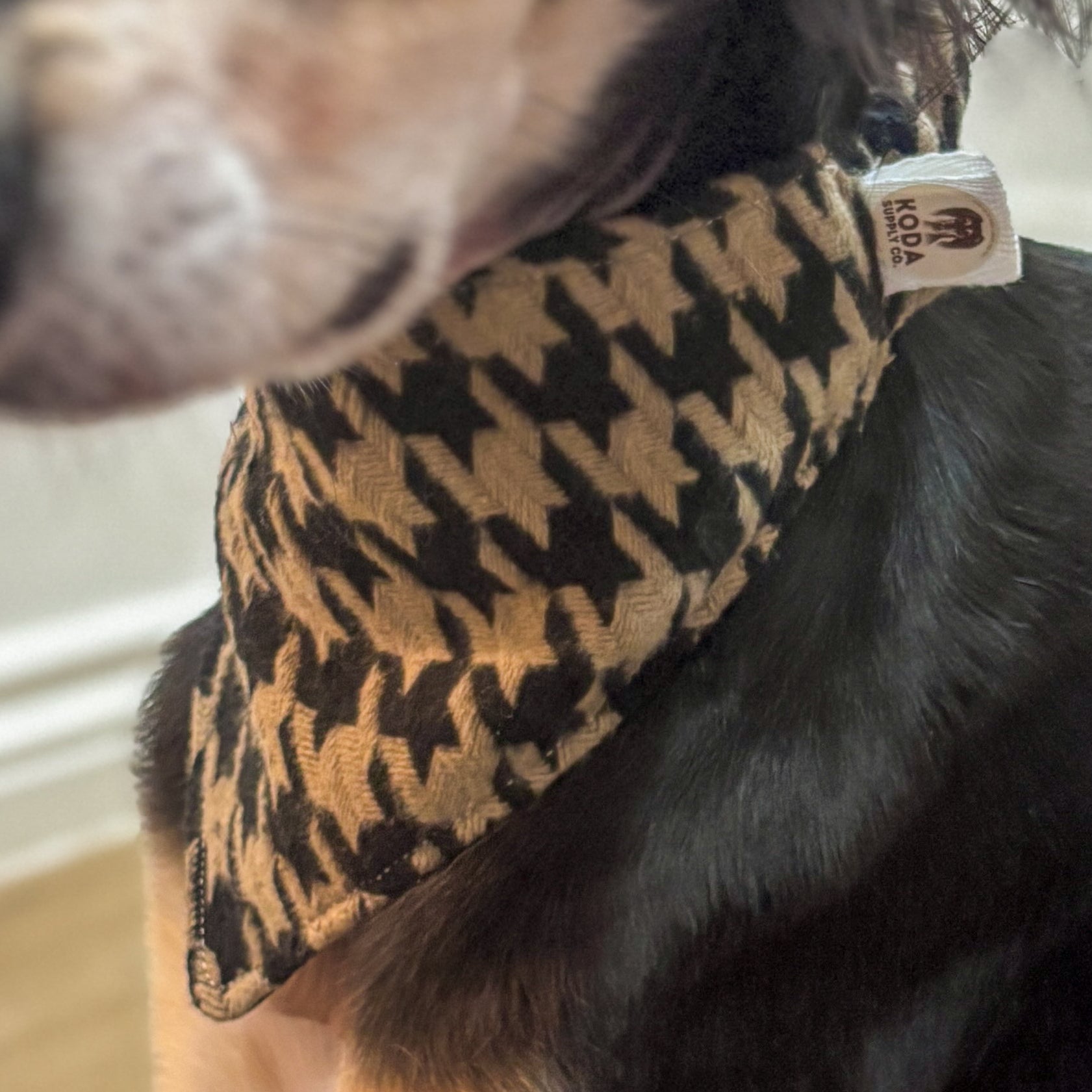 Special Scrunchie Bandana