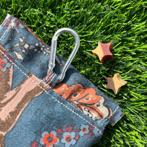 Enchanted Treat Bag