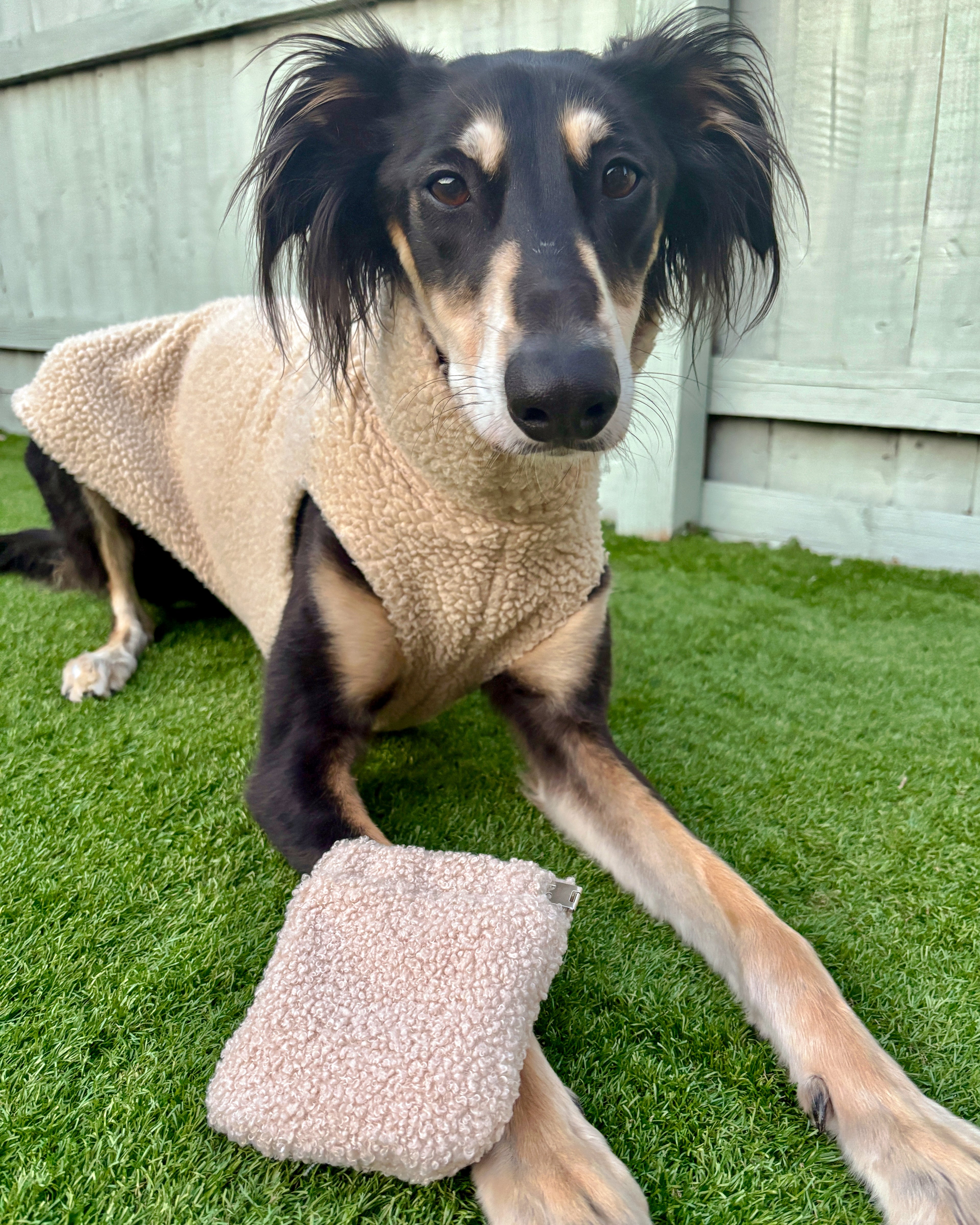 Teddy Treat Bag