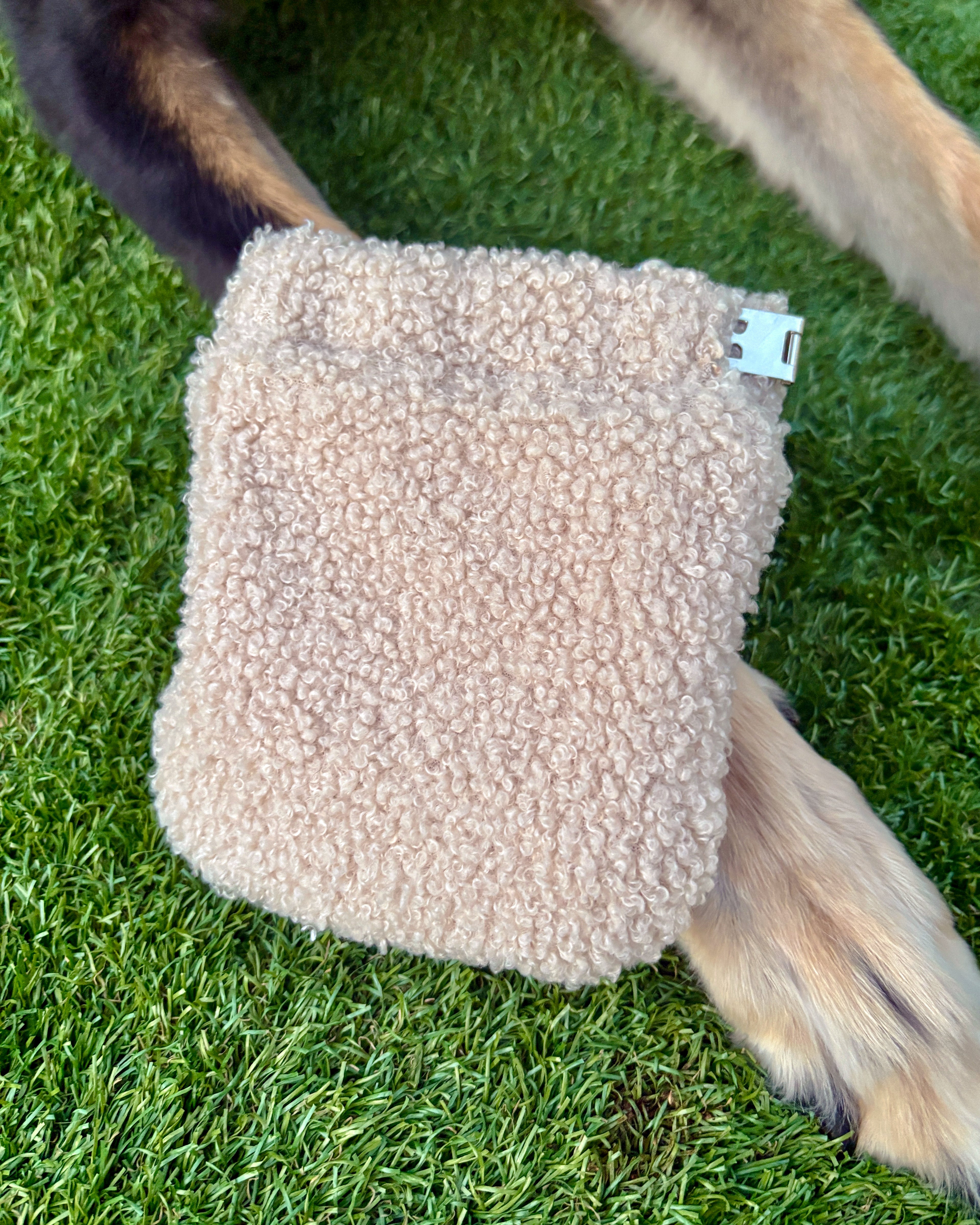 Teddy Treat Bag