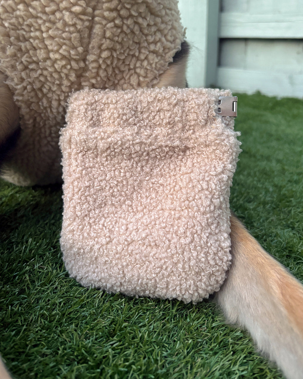 Teddy Treat Bag