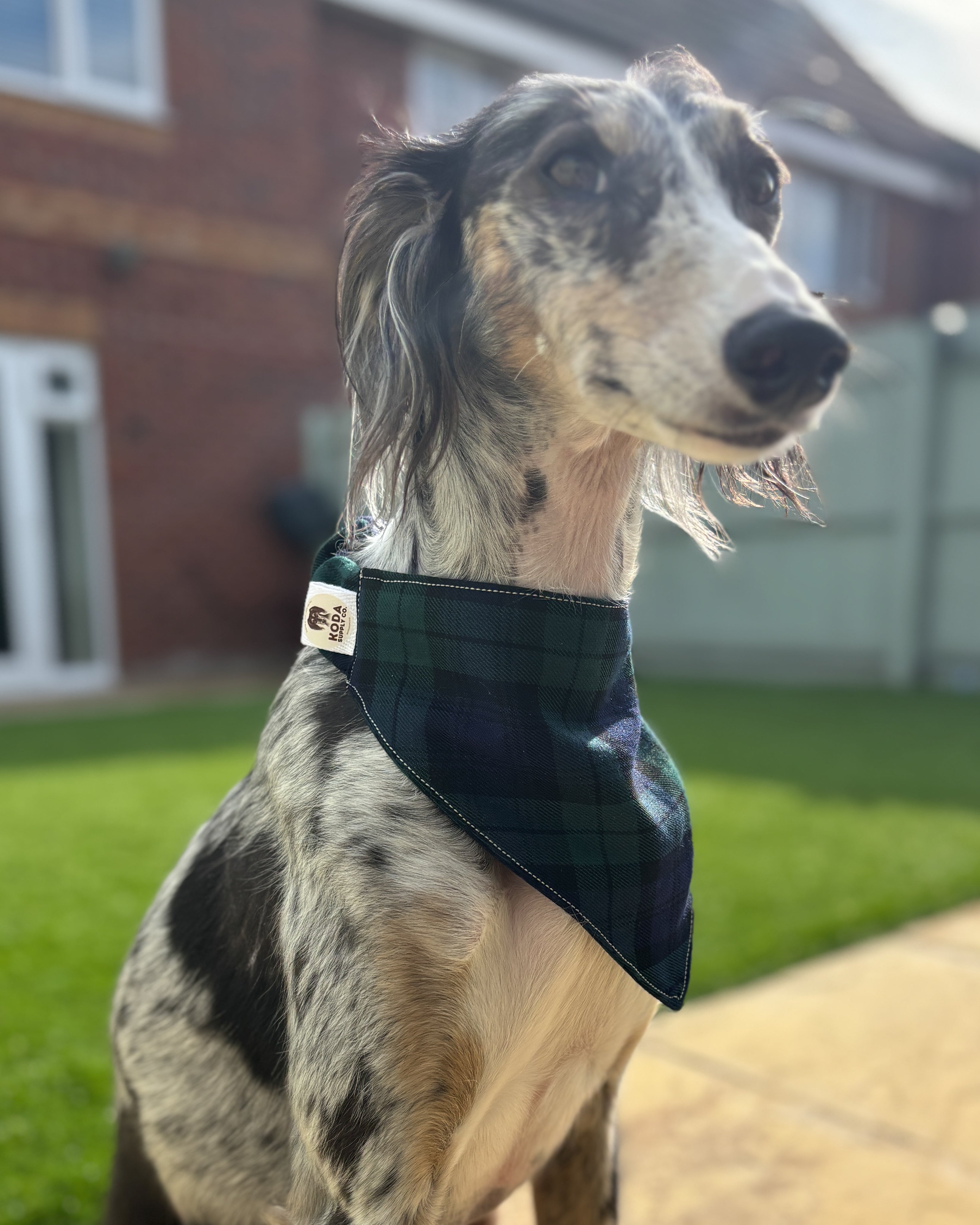 Classic Scrunchie Bandana