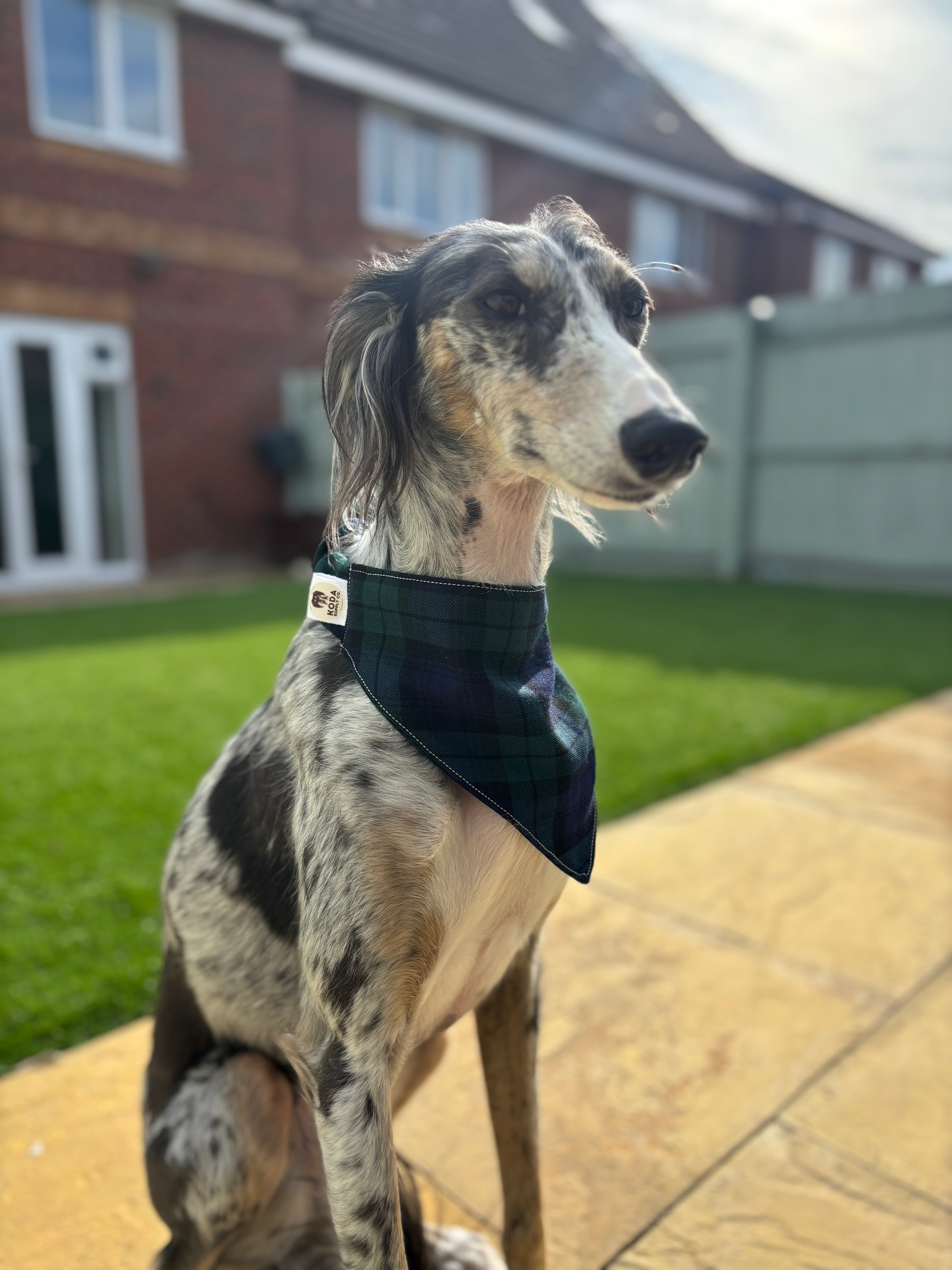 Classic Treat Bag & Poop Bag Holder Bundle