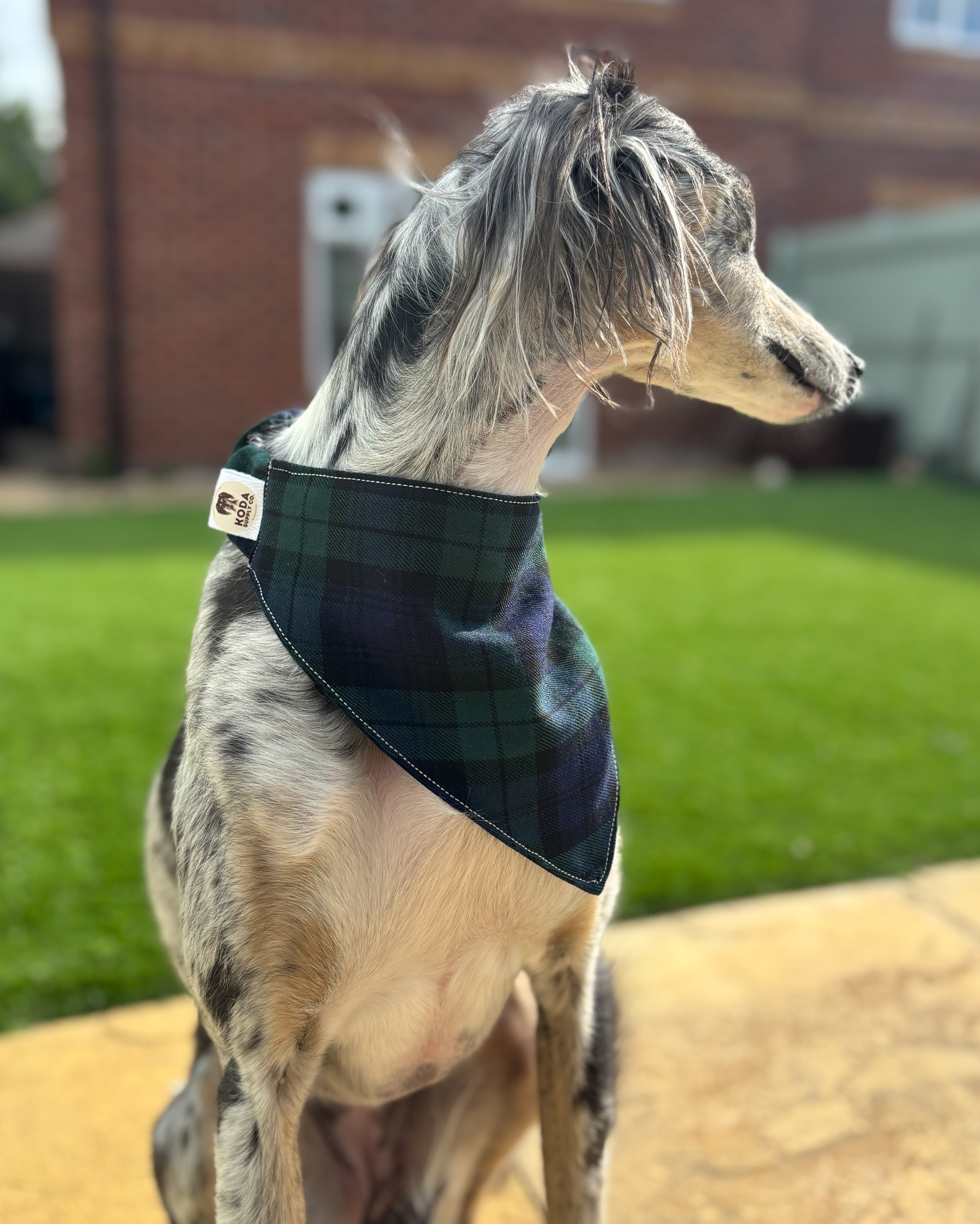 Classic Scrunchie Bandana