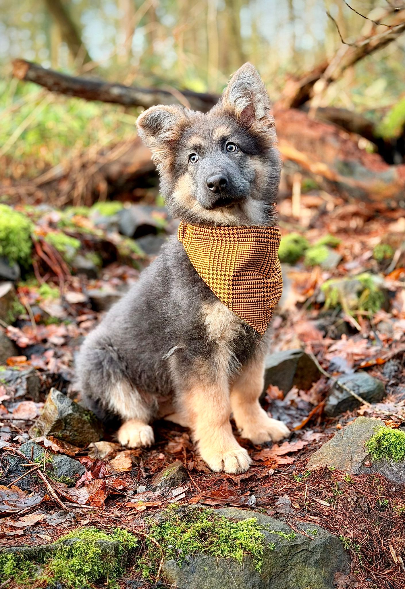 Classic Scrunchie Bandana